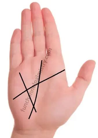 lottery triangle palm|Accurate Money Lines On Palm And Wealth Signs In Palmistry .